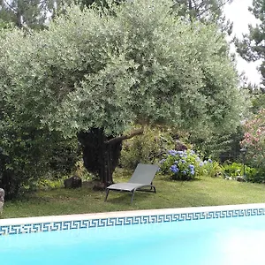 Brin D Ardèche Couette-café